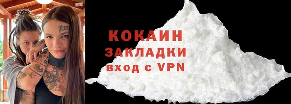 шишки Белоозёрский