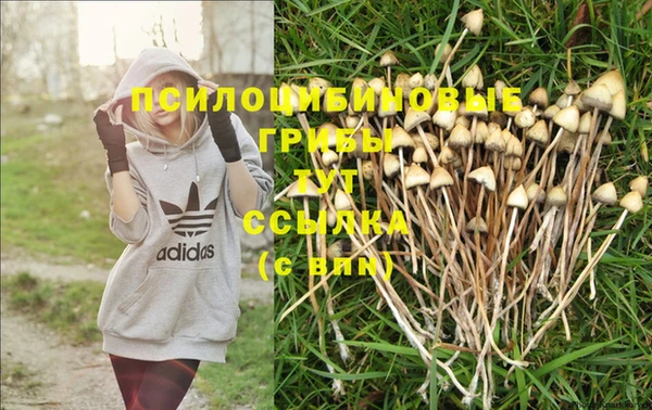 шишки Белоозёрский