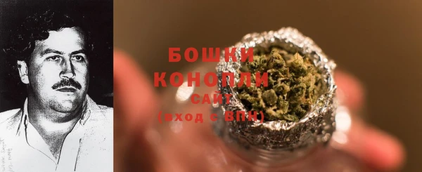 шишки Белоозёрский