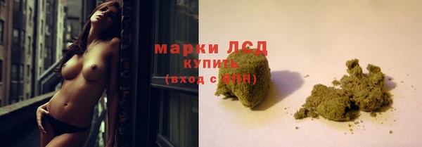 шишки Белоозёрский