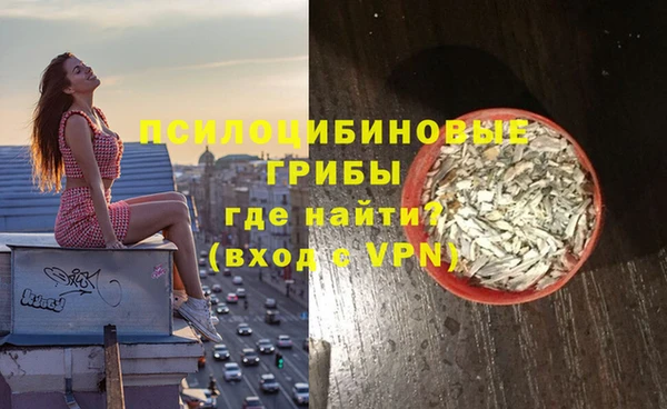 spice Беломорск