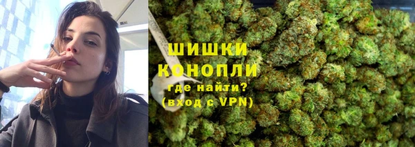 шишки Белоозёрский
