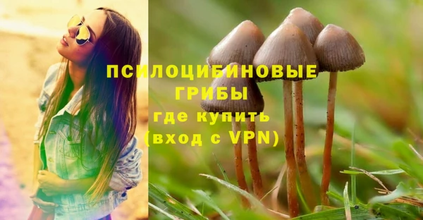 скорость Белокуриха