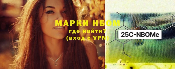 шишки Белоозёрский