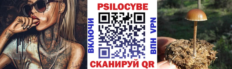 Галлюциногенные грибы Psilocybe  Сердобск 